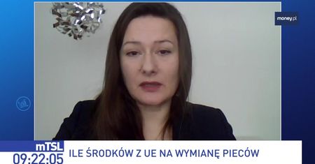 Program "Czyste powietrze" do zmiany? "Potrzebne są reformy"