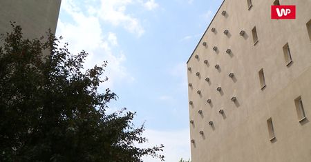 Plaga komarów nad Polską. One są najlepszą bronią na te owady
