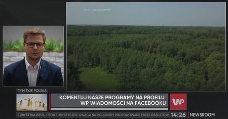Wycinka lasów na opał? Minister środowiska dementuje