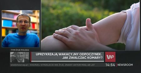 Kogo najchętniej atakują komary?