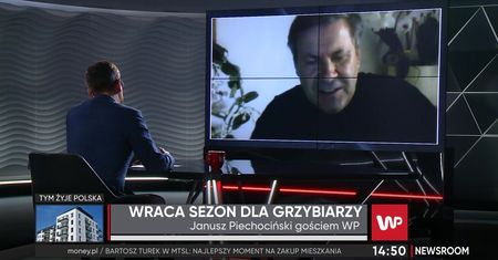 Grzybów w lasach nie ma. Deszcze wcale nie pomogły