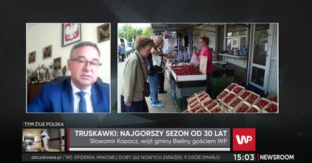 Fatalny rok dla truskawek. "Najgorzej od 30 lat"