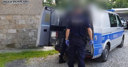 Ząbkowice Śląskie. 2-latek potrącony na pasach. Kierowca usłyszał zarzuty