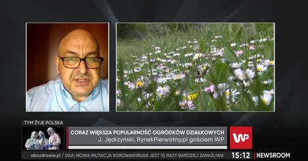 Moda na ogrody działkowe. Ekspert ostrzega: "Będzie się kształtować bańka"