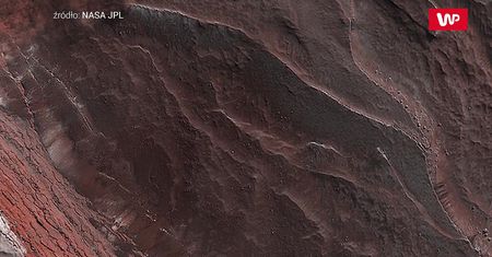 Galeria prosto z Marsa. NASA udostępnia mnóstwo nowych zdjęć