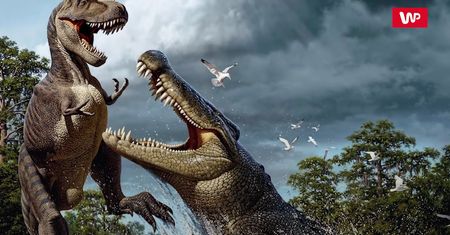 Starożytne, gigantyczne krokodyle. Ich zęby były wielkości bananów