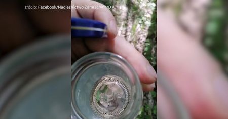 Ciekawy eksperyment leśnika. Nagranie z Nadleśnictwa Zamrzenica