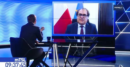 Sinice w Bałtyku. "Walka jedynie rtęcią lub miedzią. To niemożliwe, trzeba się przyzwyczaić"