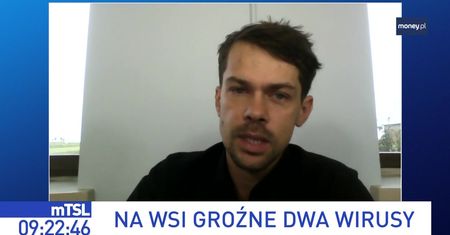 Na wsi szaleją dwa wirusy. "Państwo jest bezsilne"