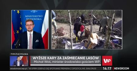 Sposób na "leśnych śmieciarzy". Fotopułapki i dotkliwe kary