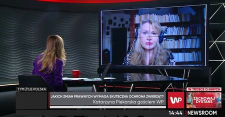WP ujawniła skandal na fermie norek. Posłanka Katarzyna Piekarska zapowiada działania