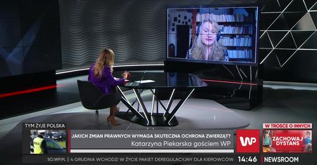 Skandal na fermie norek w reportażu WP. Posłanka zapowiada ustawę