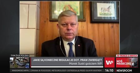 Skandal na fermie norek w reportażu WP. Marek Suski: płakać się chce