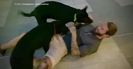 #dziejesiewsporcie: Sergio Ramos pokazał swoich ulubieńców