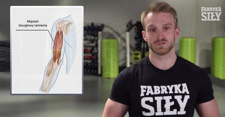 Trening bicepsów - jakie ćwiczenia wykonywać?