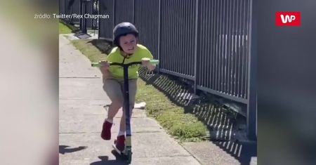 Sroka zaatakowała bezbronne dziecko. Wideo z Australii podbija cały świat