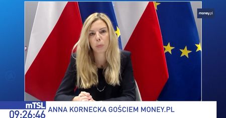 Rząd zabiera się za ważną ustawę. To może być rewolucja w polskim krajobrazie