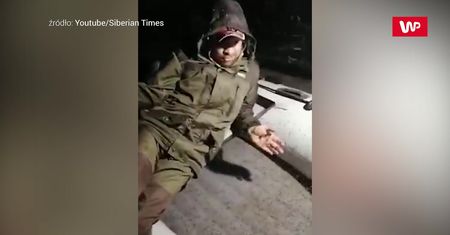 Atak syberyjskich komarów. Są ich miliony