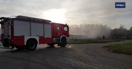3 pożary w jeden miesiąc. Bronił ferm norek, teraz walczy o biznes