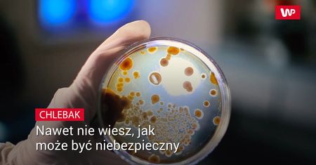 Używamy codziennie. Potężne siedlisko groźnych bakterii