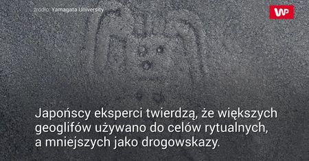 Odkryli nowe. Jeden budzi szczególny niepokój
