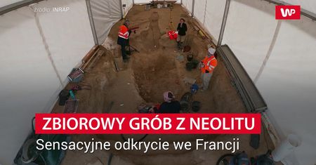 Kopali pod supermarket - odkryli masowy grobowiec