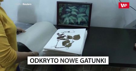 Nowe gatunki odkryte w Birmie
