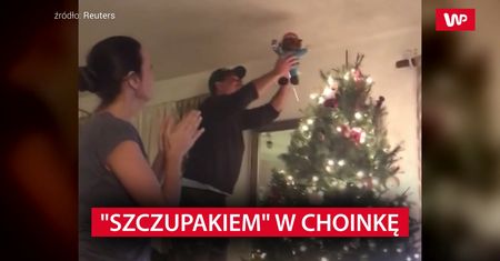Stroił choinkę. Chwilę później kobieta aż wrzasnęła