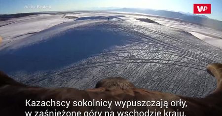 Niesamowite nagranie przelotu orła