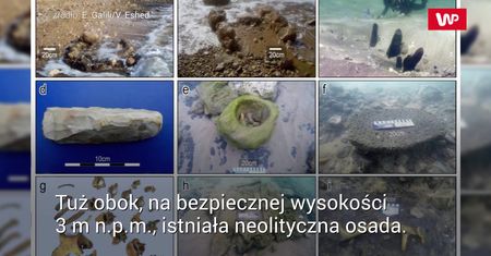 Ma 7000 lat. Niezwykłe, co tkwiło ukryte pod wodą
