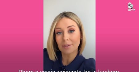 Gwiazdy nie strzelają. Apel w imieniu czworonogów