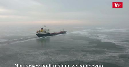 Paluszki rybne szkodliwe dla klimatu. Eksperci wzięli je pod lupę