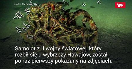 Zatopiony wrak samolotu