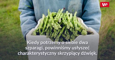 Jak wybrać najlepsze szparagi?