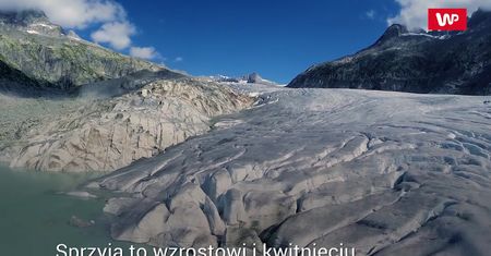 Antarktyda zielenieje. Proces jest widoczny nawet z kosmosu