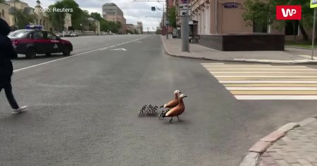 W eskorcie żołnierzy. Transportowali przestraszoną rodzinę