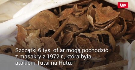 Przerażające odkrycie. 6 tys. ciał w masowych grobach