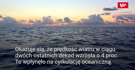 Oceany przyspieszają. Eksperci o kolejnych skutkach globalnego ocieplenia