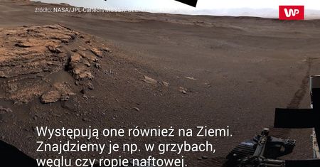 Życie na Marsie. Przełomowe odkrycie NASA