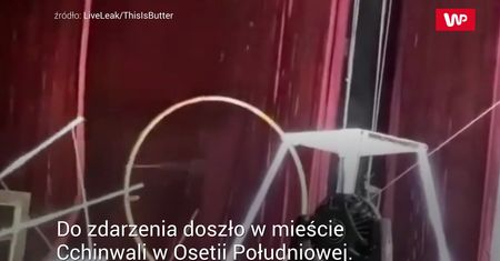 Atak rysia. Panika w cyrku w Gruzji