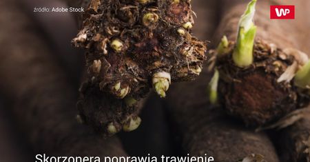 Wężymord. Idealny dodatek do jajecznicy
