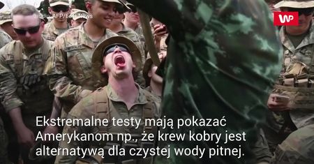 Nauka technik przetrwania. Osobliwe ćwiczenia sił USA i Tajlandii