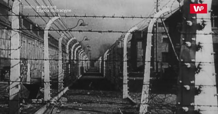 Uratował tysiące więźniów Auschwitz. Józef Bellert. Lekarz i bohater