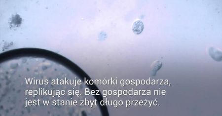 Koronawirus a lato. Zbadają odporność wirusa na ciepło