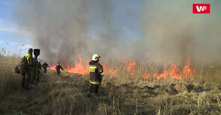 Dramatyczna walka strażaków. Próbują ratować, co się da. "Jest bardzo trudno"