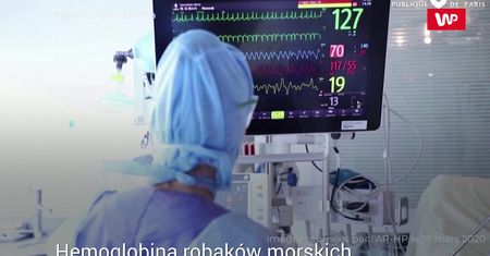 Robaki morskie w walce z wirusem. Zaskakujące badania we Francji