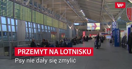 Psy nie dały się zmylić. 51-latek zatrzymany na Lotnisku Chopina