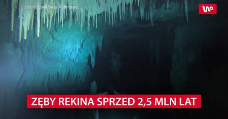 Ślady morskiego potwora. Niebywałe znalezisko sprzed 2,5 mln lat