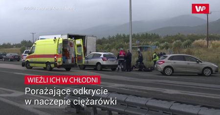 Wieźli ich w chłodni. Porażające odkrycie podczas rutynowej kontroli