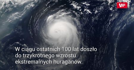Trzykrotnie zwiększyły swoją siłę. Alarmujące dane naukowców